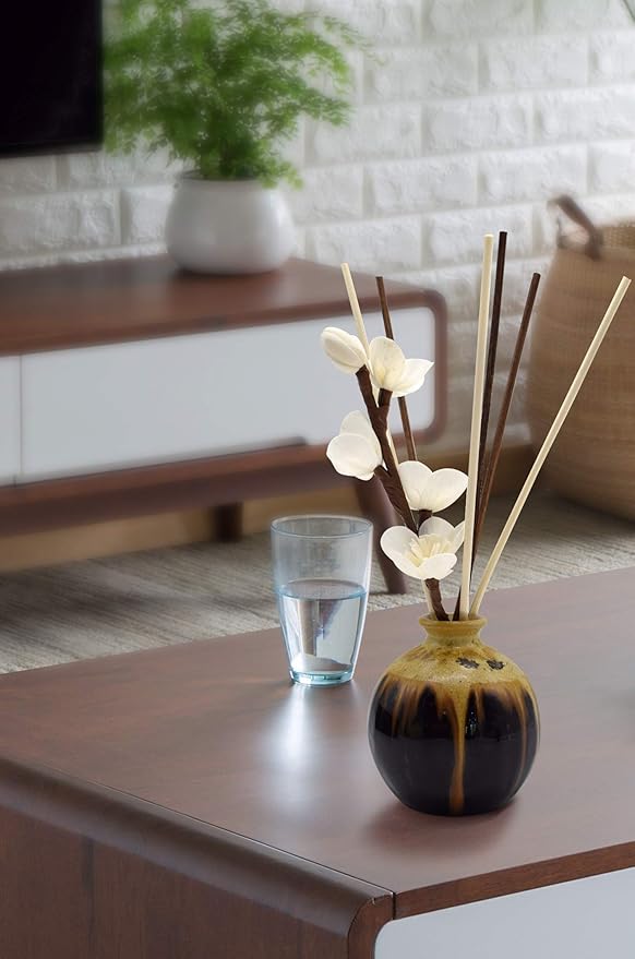 10 inch 20 Pcs Reed Diffuser Sticks Essential Oil Aroma Replacement Aroma Reed Diffuser Sticks (Black-20pcs)