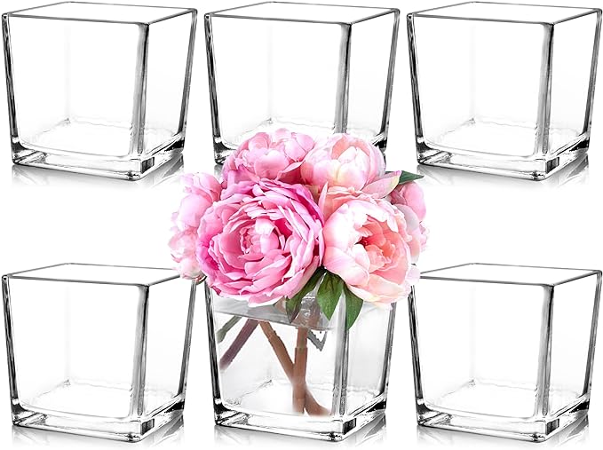 Set of 6 Square Glass Vases 5" x5" x 5", Clear Flower Vases for Centerpieces, Candle Holder for Wedding Party Events, Home Décor