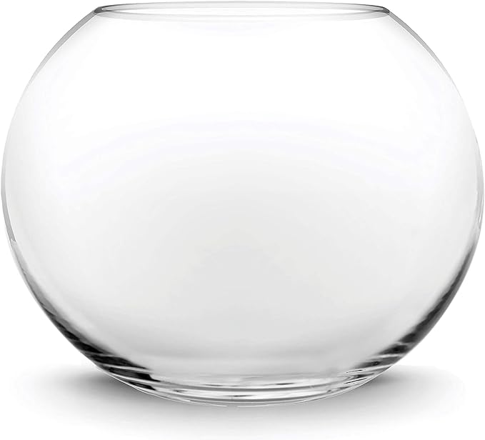 CYS EXCEL Large Glass Bubble Bowl (H-9.5" W-11", Approx. 3 Gal.) | Multiple Size Choices Fish Bowl Vase | Glass Round Bowl Terrarium | Globe Flower Vase Centerpiece