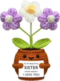 Wavwavw Sister Gifts Handmade Crochet Doll with Card Crochet Present for Sisters Sis Big Little Sister Birthday Wedding Home Decor(I Love You)