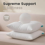 QUIETSEA 16x16 Pillow Inserts, 2 Pack Down Alternative Throw Pillow Inserts, Fluffy Soft Square Decorative Pillows for Bed, Couch and Sofa