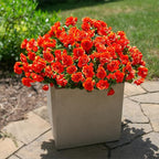 HyeFlora Artificial Faux Outdoor Outside Flowers Plants For Spring Decor, Fake Silk Orange Camellia UV Resistant Look Real for Autumn Planter Front Door Porch Patio Balcony Decoration, 3 Large Bundles