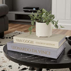 MAOBUYOU Decorative Linen Book Set of 2, Faux Book Storage Box, Coffee Table and Bookshelf Decor