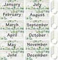 Zonon 48 Pieces Holiday Monthly Headliners Set 12 Months of The Year Headers Seasonal Monthly Bulletin Board Borders with 36 Round Blank Confetti Cutouts(Greenery)