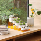 Goabroa Display Risers, 2 Sets 5 Tier Rectangular Risers Display Stands, Display Shelves for Figures, Cupcake, Perfume Display, Transparent Orange