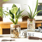 Glass Propagation Stations for Plants -Desktop Flower Vases,Propagation Flower Vases Set – 2 Large & 2 Small for Plant Cuttings，for Living Room, Bedroom Decoration,Home,Office Decor (4)