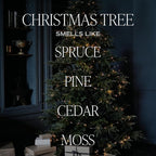 Sweet Water Decor Christmas Tree Reed Diffuser Set - Spruce, Pine Needles, Cedar, and Moss Scented Diffusers - Scent Diffusers for Home, Long Lasting Fragrance, Made in the USA