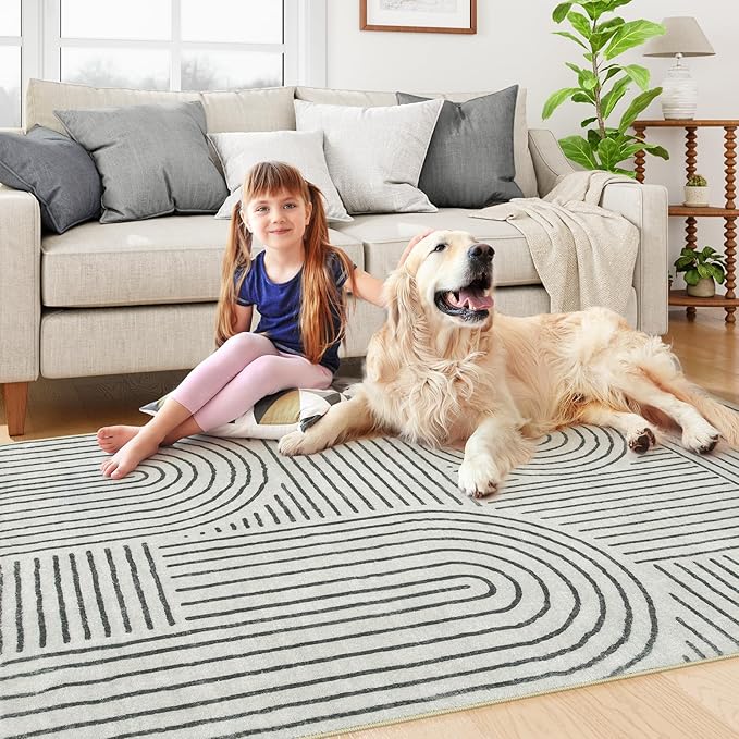 Lahome Abstract Bedroom Rug, Soft 4x6 Rug Ultra-Thin Washable Area Rugs for Living Room, Modern Black Rug Non-Slip Throw Carpet for Entryway Office Kitchen(4'x6',Black)