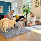 OLANLY 3x4 Machine Washable Accent Rug, Soft Fluffy Shaggy Area Rug for Bedroom, Living Room, Indoor Floor Carpet for Kids, Nursery, Home Decor, Light Grey