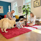 OLANLY Area Rugs for Living Room Bedroom, Machine Washable 4x5.9 ft Soft Fluffy Shaggy Bedside Rug, Indoor Floor Carpet for Kids Girls and Boys, Dorms, Nursery Rooms, Home Decor Aesthetic, Red