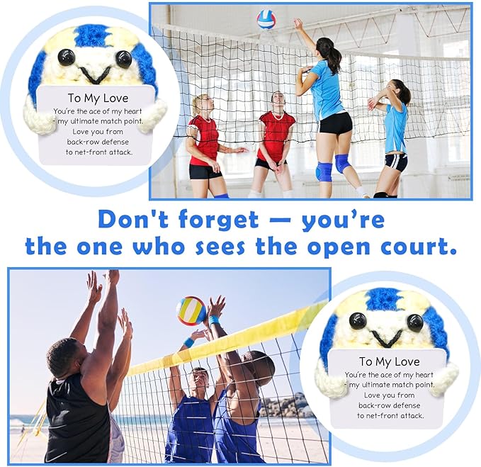 Handmade Collectible Volleyball - Emotional Support Decor,Funny Gift for Volleyball Lovers,Best Friend,Brother,Colleague,Team Mate,Home Decor Accent