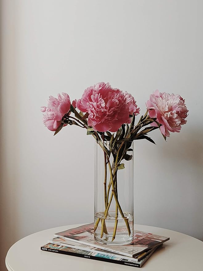 WGV Cylinder Vase, Diameter 5", Height 10", Clear Glass Floral Planter Container, Floating Candle Holder for Wedding Party Event Home Office Decor, 1 Piece