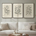 Framed Vintage Botanical Wall Art, 3 Piece Neutral Floral Plants Canvas Painting Prints Artwork for Living Room, Rustic Flowers Pictures for Farmhouse Bedroom Kitchen Dining Room Home Decor, 16x24 In