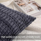 Aegero Pack of 2 Corduroy Decorative Throw Pillow Covers 24x24 InchSoft Striped Pillow Covers Modern Farmhouse Home Decor for Sofa Living Room Couch Bed（Dark Grey）
