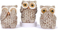 Set of 3 Owl Statues Home Décor, Cute Owl Figurines for Shelf, Living Room Bedroom Office Desktop, Bookshelf, Animal Sculptures Gifts,Small Decor Accents Items for Birds Lovers