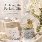 Cat Memorial Gifts for Loss of Cat Sympathy Gift, Snow Globe with Auto Swirling Glitter & 6H Timer, Battery or USB Powered, Cat Remembrance Gifts for Home Decor