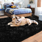 Black Rug for Bedroom, Soft Shaggy Modern Shag 4x6 Area Rugs for Living Room, Upgrade Non-Slip Plush Fluffy Carpet for Kids Boys Girls Room Dorm Home Decor Aesthetic