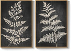 Large Framed Vintage Botanical Wall Art Set of 2, Black Neutral Retro Leaf Canvas Paintings Prints, Rustic Minimalist Modern Farmhouse Pictures for Living Room Bedroom Office Wall Decor, 24x36 Inch