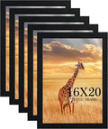 16x20 Picture Frame Set of 5, Wooden Frame Black for 16x20 Inch Poster Photo with Durable Shatter Resistant Plexiglass,Wall Gallery Poster Photo frame 20 by 16 Frame for Wall best gift