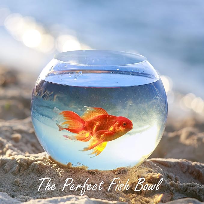 CYS EXCEL Glass Bubble Bowl (H-6" W-8", Approx. 3/4 Gal.) Small Fish Bowl Round Terrarium Vase Globe Flower Centerpiece for Weddings Events Arrangements