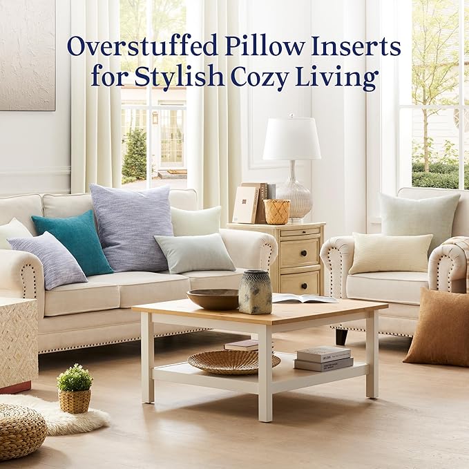 puredown® 24x24 Pillow Inserts Set of 2, Overfilled Down Alternative Euro Pillows with 100% Cotton Cover, Plush Fluffy Decorative Throw Pillows for Couch, Sofa, Bed and Home Decor