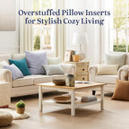 puredown® 22x22 Pillow Inserts Set of 2, Overfilled Down Alternative Decorative Pillows with 100% Cotton Cover, Plush Fluffy Throw Pillows for Couch, Sofa, Bed and Home Decor