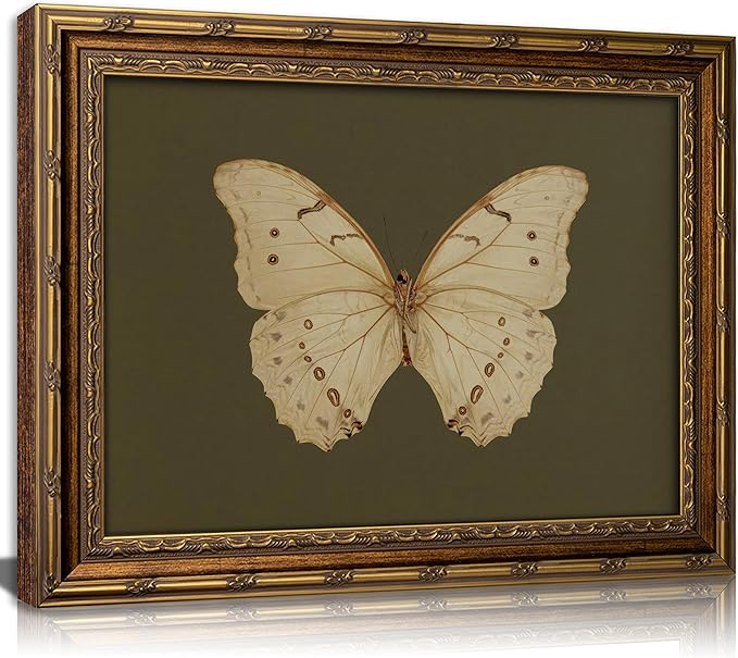 Vintage Gold Framed Wall Art Retro White Butterfly Canvas Print Dark Green Olive Insect Painting Picture Rustic Farmhouse Moth Cottagecore Poster Artwork for Living Room Bedroom