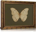 Vintage Gold Framed Wall Art Retro White Butterfly Canvas Print Dark Green Olive Insect Painting Picture Rustic Farmhouse Moth Cottagecore Poster Artwork for Living Room Bedroom