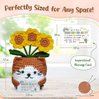 OASSIE Kindergarten Graduation Gifts for Kids - Positive Crochet Animals Sunflower Cat - 6 8 10 12 Years Old Birthday End of Year Preschool Teen Girl Boy Gifts Trendy Stuff for Kids Teens