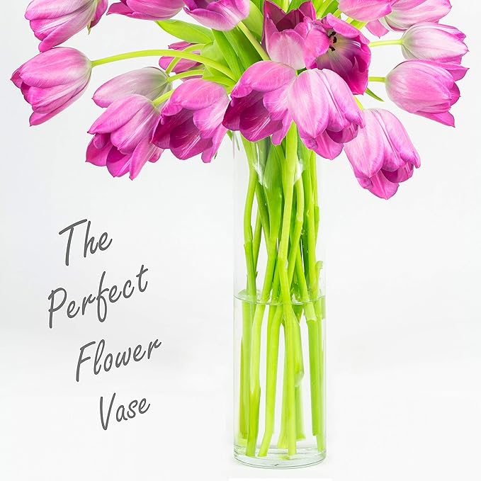 CYS EXCEL Cylinder Clear Glass Vase (H:20" D:6") | Multiple Size Choices Glass Flower Vase Centerpieces | Hurricane Floating Candle Holder Vase