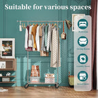 Simple Trending Standard Rod Clothing Garment Rack, Rolling Clothes Organizer on Wheels for Hanging Clothes, Chrome