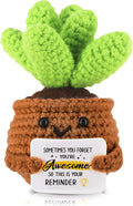 WenmthG Mini Positive Crochet Plant Doll - Funny Handmade Knitting Doll Birthday Emotional Inspirational Cheer Support Ideas Gifts for Women Girls Coworker Teacher Appreciation Gifts