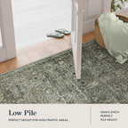Lahome 5x7 Boho Bedroom Area Rug,Soft Vintage Washable Rugs for Living Room,Non Shedding Disdressed Floor Carpets for Home Decor Dining Room,Dark Olive Green