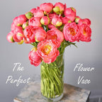 CYS Excel Clear Glass Cylinder Vase (H:12" D:4") | Multiple Size Choices Glass Flower Vase Centerpieces | Hurricane Floating Candle Holder