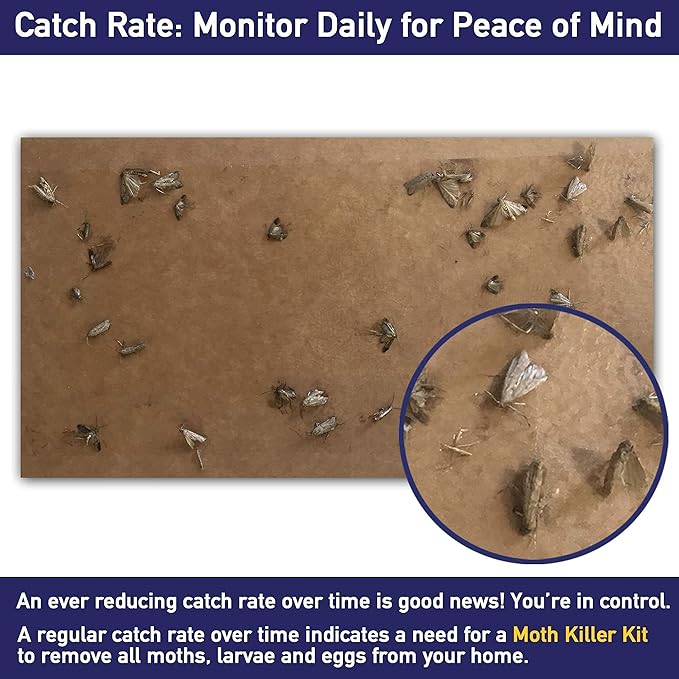 Powerful Clothes Moth Traps + Replacement Strips (9 Strips in Total) - Traps & Refills by MothPrevention - for Indoors, Home, Closets & Clothing