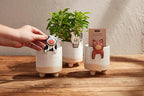 Mud Pie Cow Pot Hugger Planter Set; Pot 4" X 3 3/4" Dia | Hugger Approx 2 3/4" X 2"