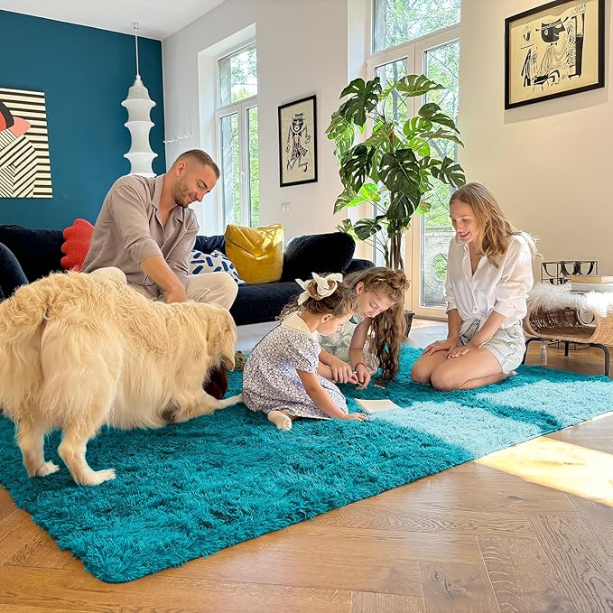 OLANLY 6x9 Machine Washable Large Area Rugs for Living Room, Bedroom, Soft Fluffy Shaggy Bedside Rug, Indoor Floor Carpet for Kids Girls and Boys, Dorms, Nursery, Home Decor Aesthetic, Teal