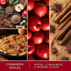 ScentSationals Cinnamon Apples Scented Wax Melts - Apple, Cinnamon, & Brown Sugar, 10oz (24 Cubes)