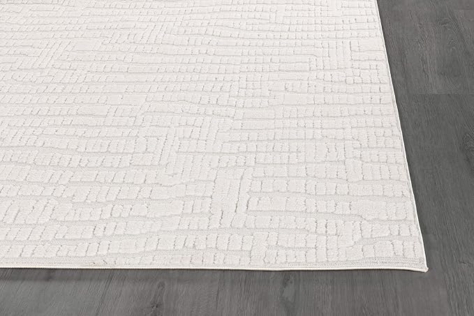 Modern Micro Loop Indoor Area Rugs for Living Room Bedroom Kitchen Geometric Pebble White 6x9 Luxury Durable Low and High Pile Non-Shedding Stain Resistant Soft Area Carpet 6 x 9