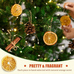 30 Pcs Dried Orange Slices, with 30Pcs Hemp Rope, Christmas Wreath Making Supplies for X-mas Tree Decoration, DIY Crafts, Present Wrapping