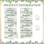 Zonon 48 Pieces Holiday Monthly Headliners Set 12 Months of The Year Headers Seasonal Monthly Bulletin Board Borders with 36 Round Blank Confetti Cutouts(Greenery)