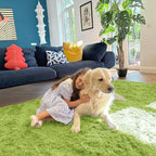OLANLY 5x7 Machine Washable Large Area Rugs for Living Room, Bedroom, Soft Fluffy Shaggy Bedside Rug, Indoor Floor Carpet for Kids Girls and Boys, Dorms, Nursery, Home Decor Aesthetic, Grass Green
