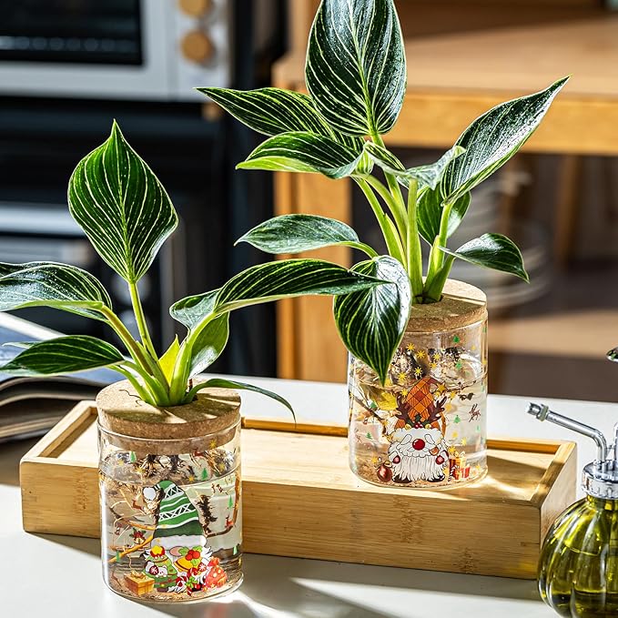 Christmas Vases, 2 Sizes Propagation Jars with Christmas Decorations Patterns, Desktop Glass Hydroponic Planter for Plant Cuttings, for Plant Lovers (6)