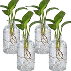 4-Piece Modern Transparent Glass Rectangular Propagation Vase Set for Indoor Use, Holds Water, Perfect for Home Decor, Table, Shelf, Desk, Office