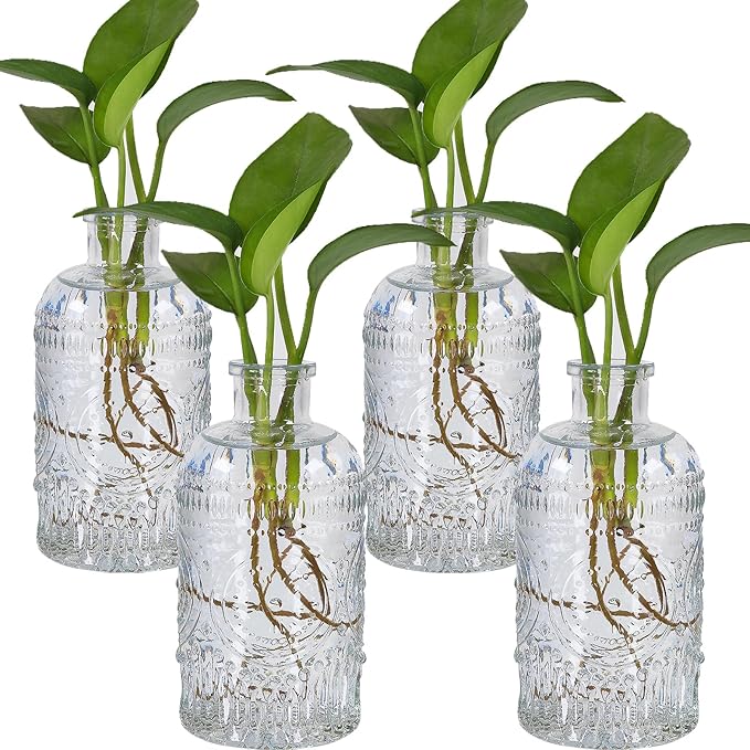 4-Piece Modern Transparent Glass Rectangular Propagation Vase Set for Indoor Use, Holds Water, Perfect for Home Decor, Table, Shelf, Desk, Office