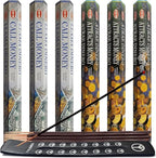Call Money & Attracts Money Incense Sticks & Holder Bundle Variety Pack from Hem Trumiri Insense Insence