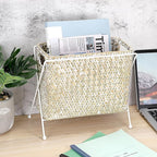 BTSKY Handwoven Magazine Holder, Natural Seagrass Magazine Basket with Metal Rack, Mail Holder Floor Organizer for Office, Living Room, Dorm, Bathroom, Woven Rattan File Basket with Handle (White)