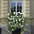Artificial Flowers Faux Outdoor Plants Artificial Petunias for Outdoors Uv Resistant Fake Petunias Plants Hanging Flower Patio Decor Outside Basket Realistic Silk Plant No Pot(White 2pcs)