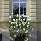 Artificial Flowers Faux Outdoor Plants Artificial Petunias for Outdoors Uv Resistant Fake Petunias Plants Hanging Flower Patio Decor Outside Basket Realistic Silk Plant No Pot(White 2pcs)