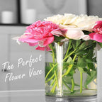 CYS EXCEL Cylinder Clear Glass Vase (H:5.9" D:5.9") | Multiple Size Choices Glass Flower Vase Centerpieces | Hurricane Floating Candle Holder Vase